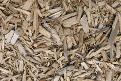 biomass boilers Pitteuchar
